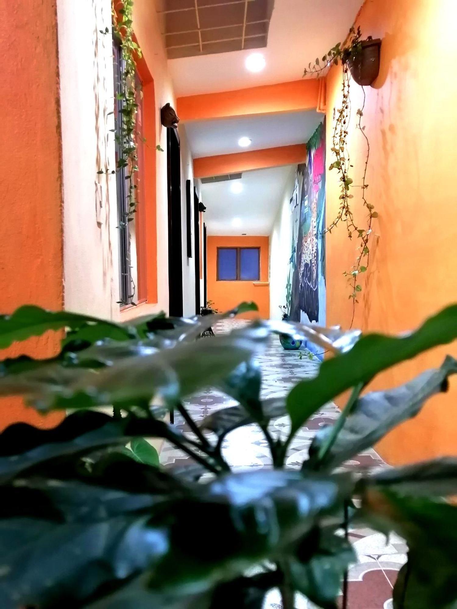 Hotel Amayal San Cristóbal de Las Casas Exteriör bild