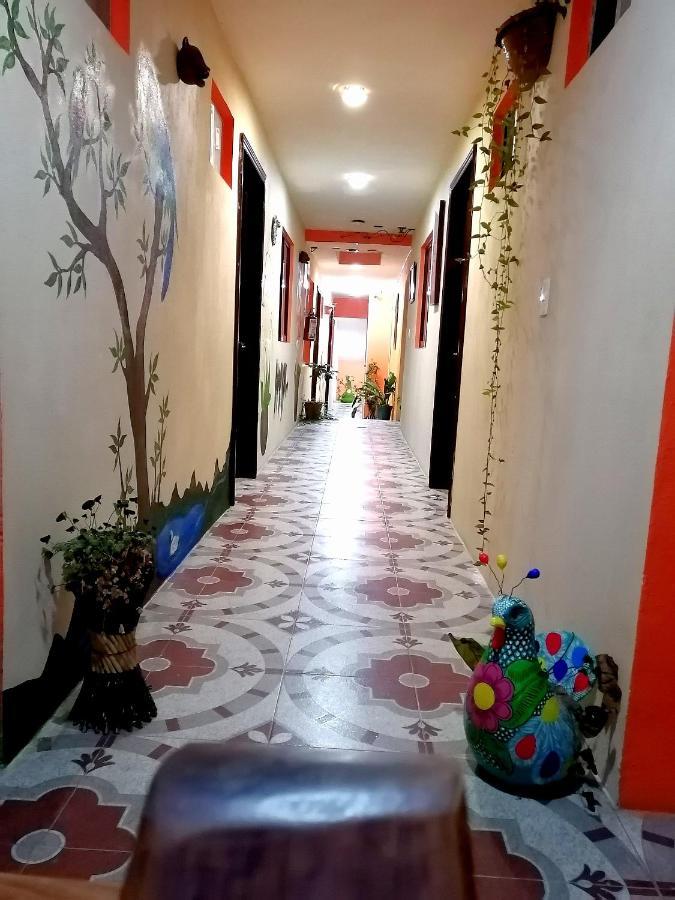 Hotel Amayal San Cristóbal de Las Casas Exteriör bild