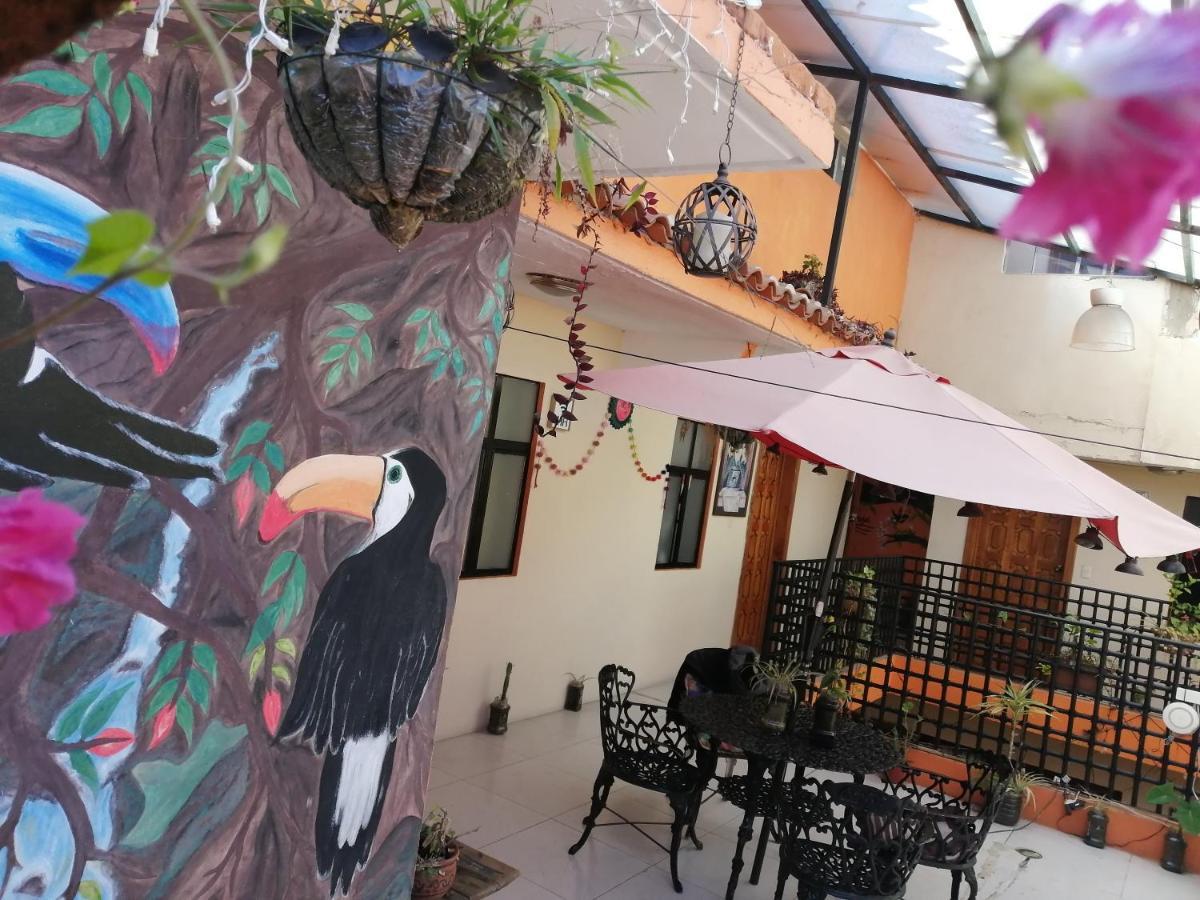 Hotel Amayal San Cristóbal de Las Casas Exteriör bild