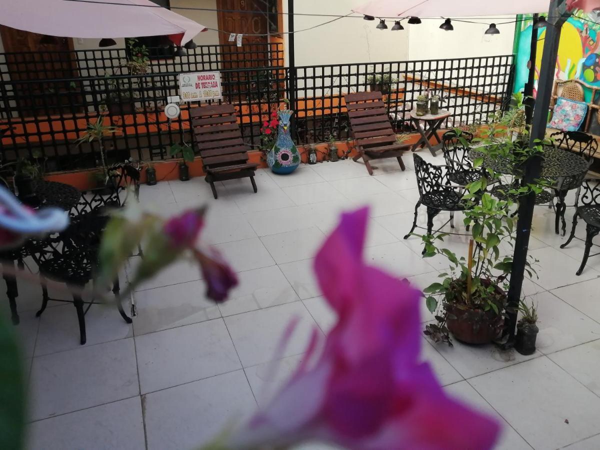 Hotel Amayal San Cristóbal de Las Casas Exteriör bild