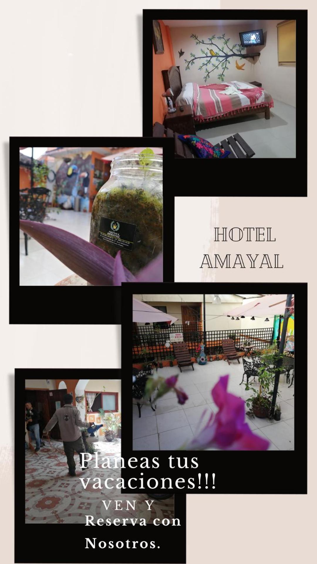 Hotel Amayal San Cristóbal de Las Casas Exteriör bild